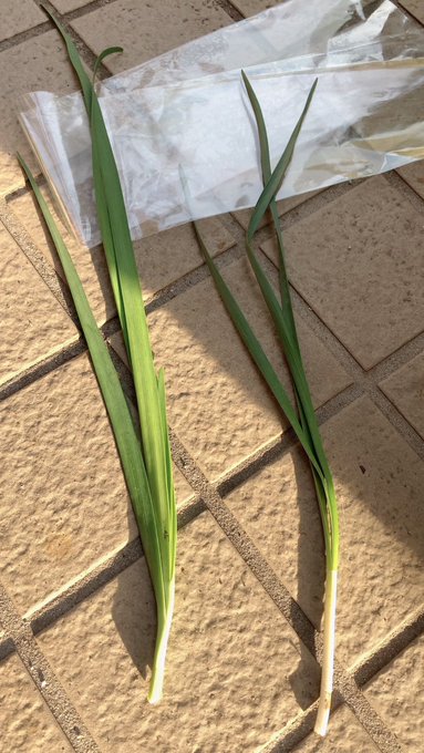 Twitterのコスプレ画像29