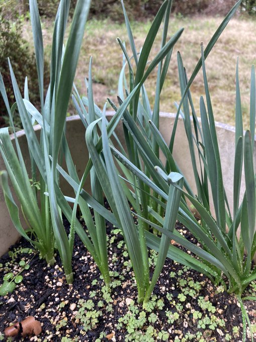 Twitterのコスプレ画像26