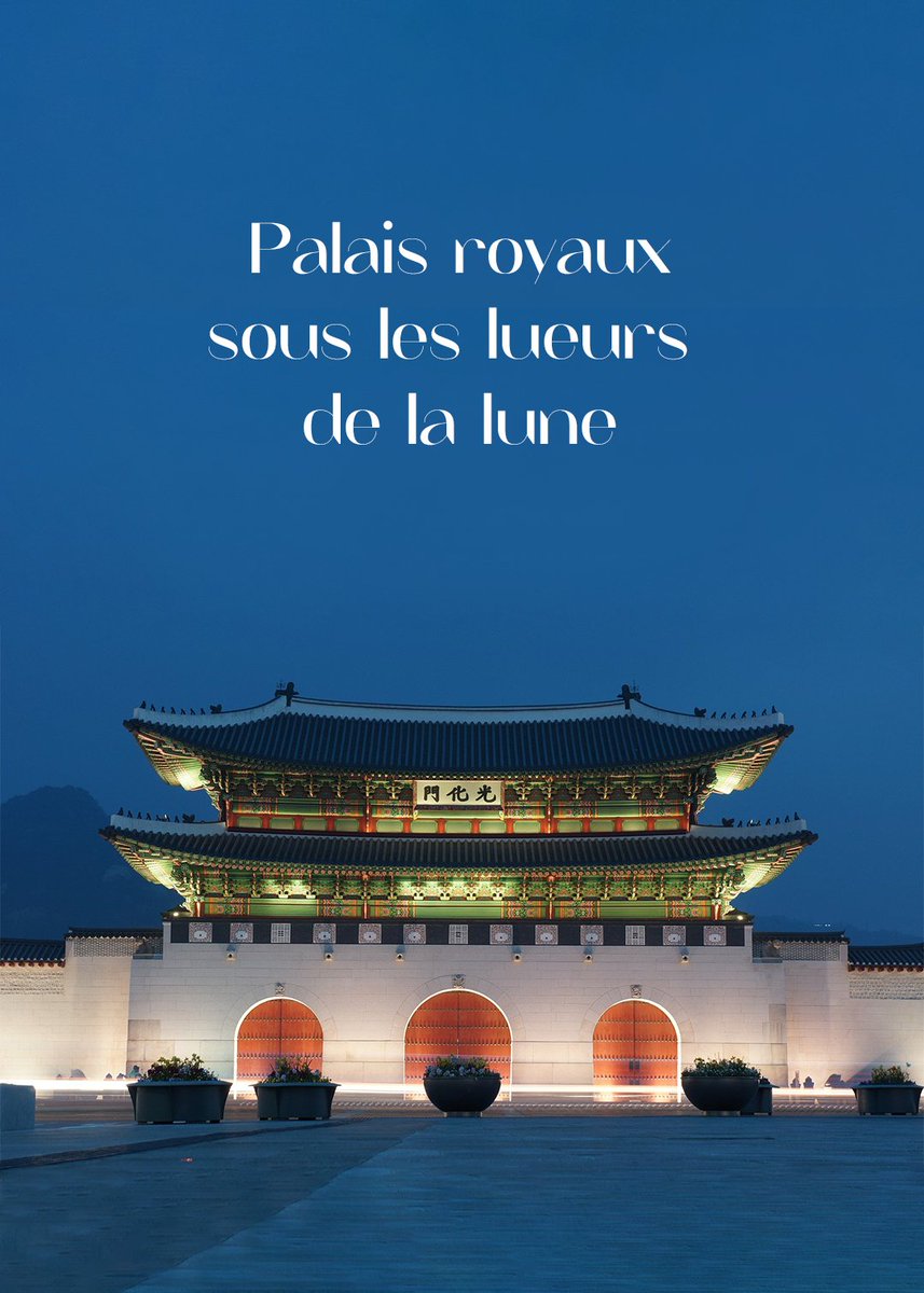 visitkoreaFR's tweet photo. La visite de nuit des palais à Séoul constitue une activité de choix pour découvrir la culture de la Corée 🌇

Quel palais aimeriez-vous visiter en premier ? https://t.co/N34t1NDo3j