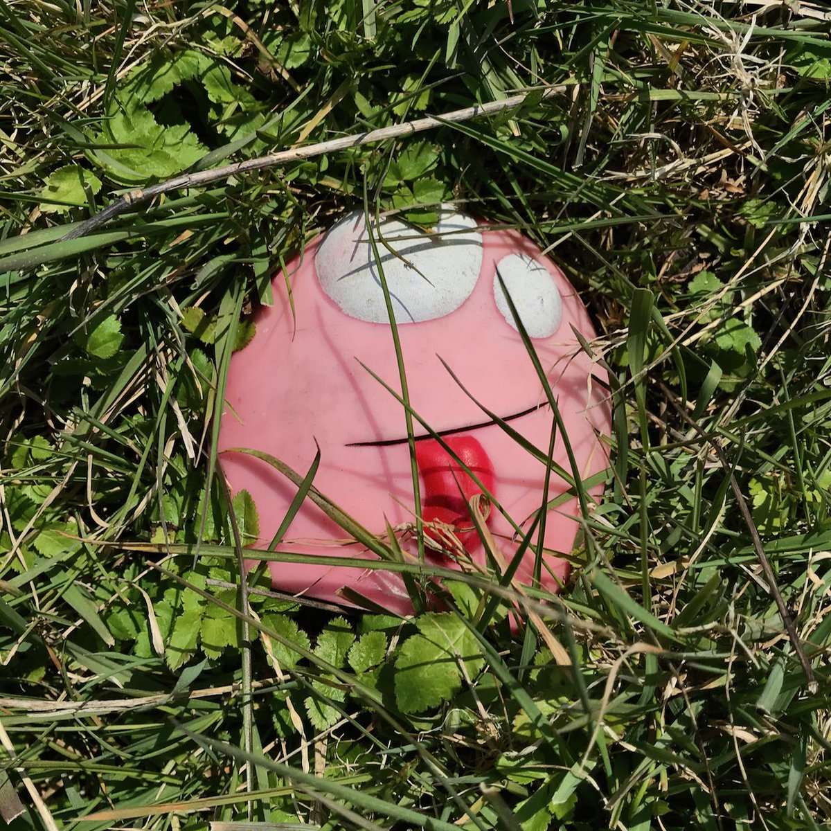 StrandlinersCIC's tweet photo. What did we find from the banks of the #RiverRother clean up and brand audit?
#plasticoceanseurope
#plasticoceansinternational
#wallowbird
#wallowbirdfilms
#strandliners
#CleanerRiversCleanerSeas
#DataisEvidence
#IsCleaningUpEnough
#BreakFreeFromPlastic https://t.co/wUTjEAET3C