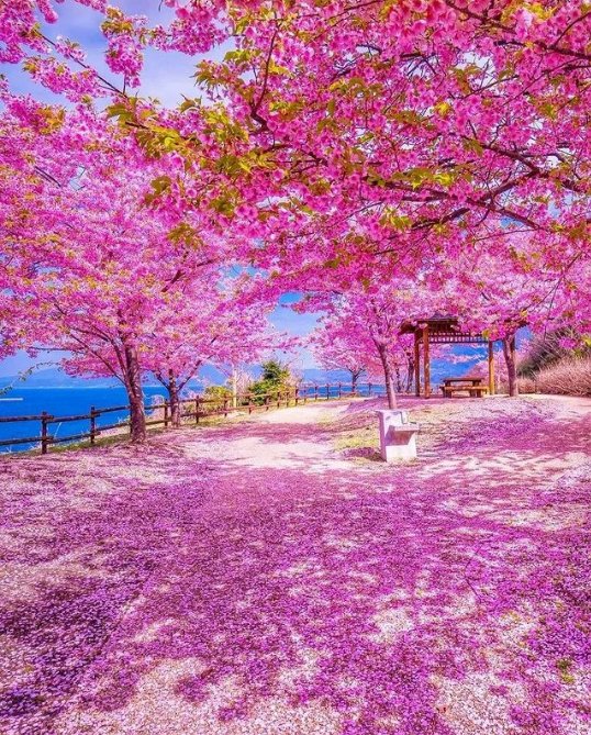 David88_01's tweet photo. #goodmorning #NEW #week  #photo #NaturePhotography https://t.co/Gk0VHVcA5r