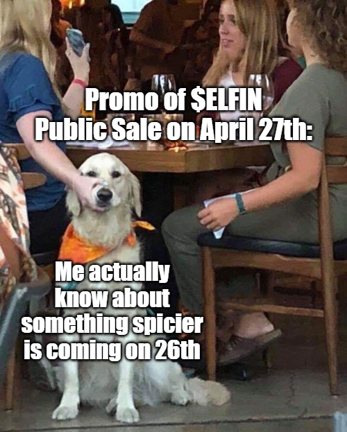 ArcadeElfin's tweet photo. What's the main event this week?

That's right the #PublicSale of $ELFIN is on the 27th!🙌

Who's ready to become an $ELFIN hodler? 😏

#GameFi #Crypto #BSC https://t.co/QGJ0AkjU42
