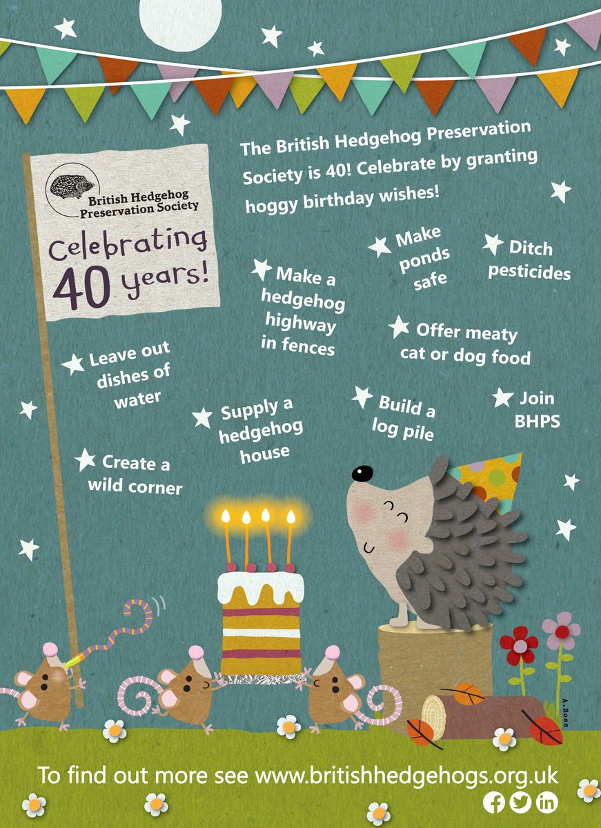 📢📢📢📢 BHPS is 40 on Saturday! We are asking people to grant some hoggy birthday wishes! Help us celebrate by sharing this! 🎂 🦔 #BHPSis40!