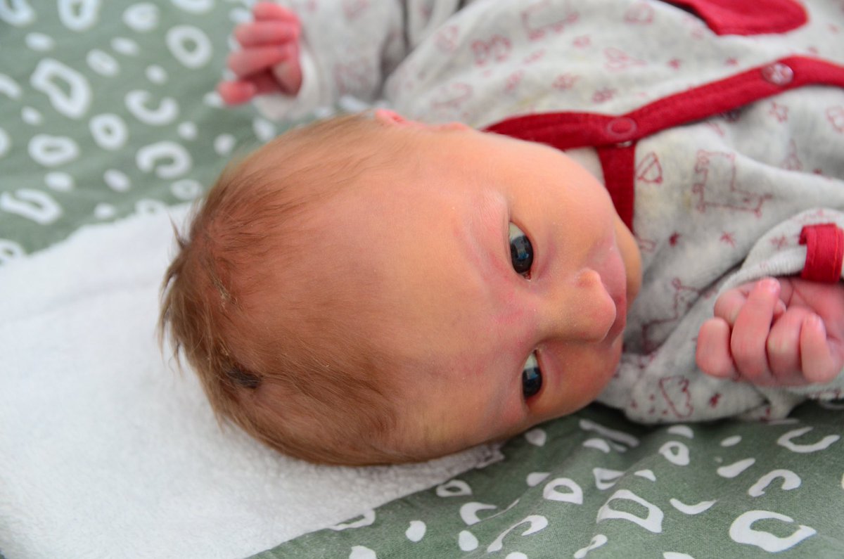 Sylvie Noordermeer tweet media