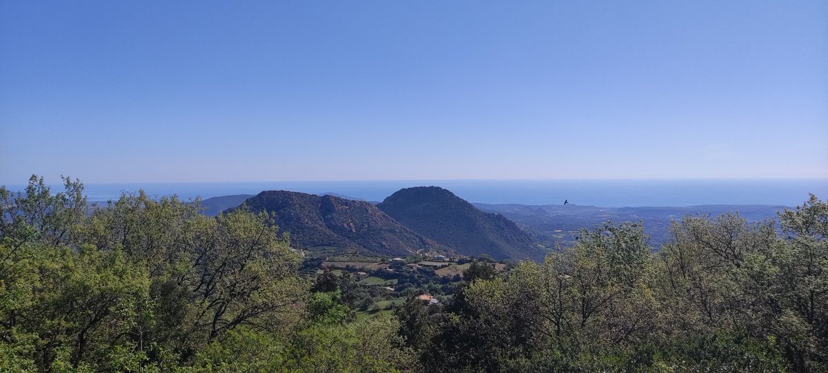 MarcelloGungui's tweet photo. Ogliastra #sardegna https://t.co/kpaKd2MrxJ