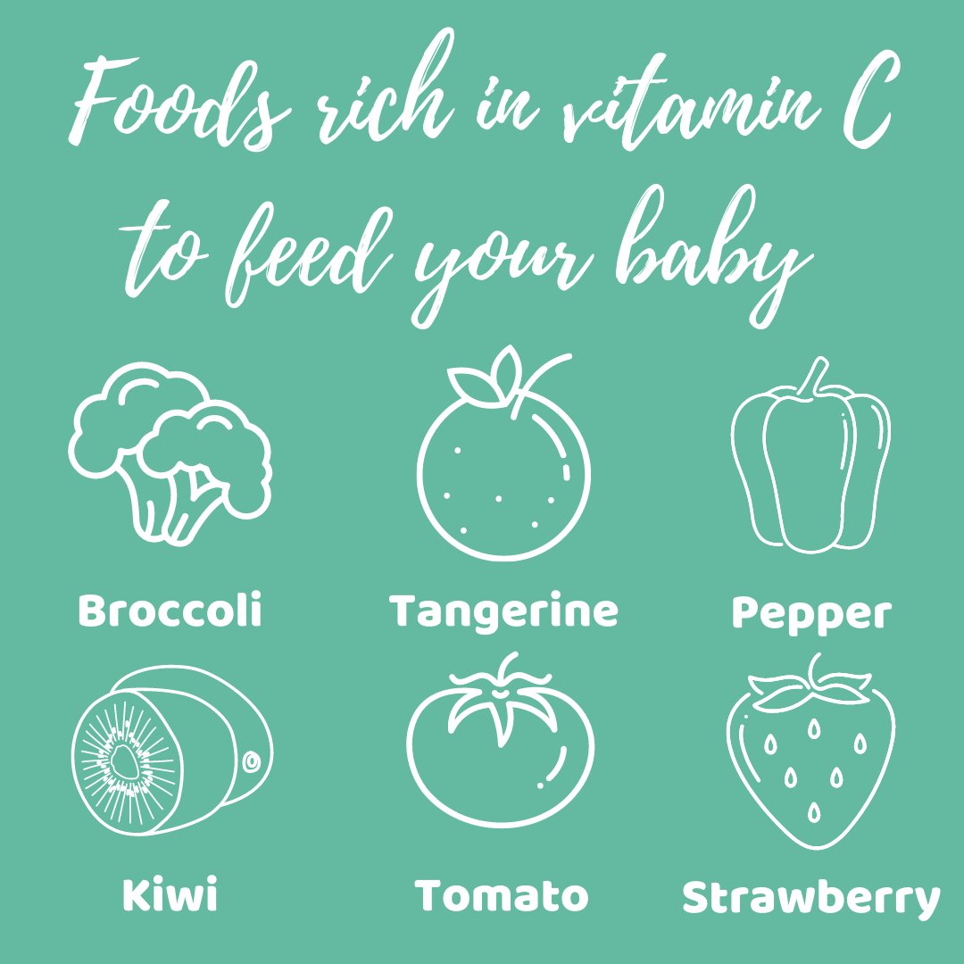 Have you tried any of these foods with your little one yet? 🥦🍓🍊

#babygo #firsttimemum #firsttimedad #firsttimeparents #whatmybabyeats #kidsnutrition #foodforkids  #parentingtips #parentingadvice #babynutrition #fussyeater #hungrybaby #whatifeedmykid #healthyfoodforkids