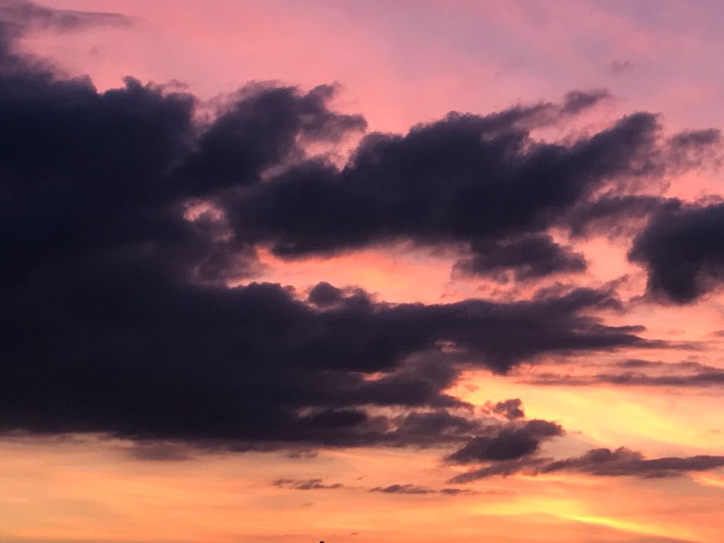 ingridcapuni's tweet photo. @Havenlust https://t.co/D92UBkDOQ1