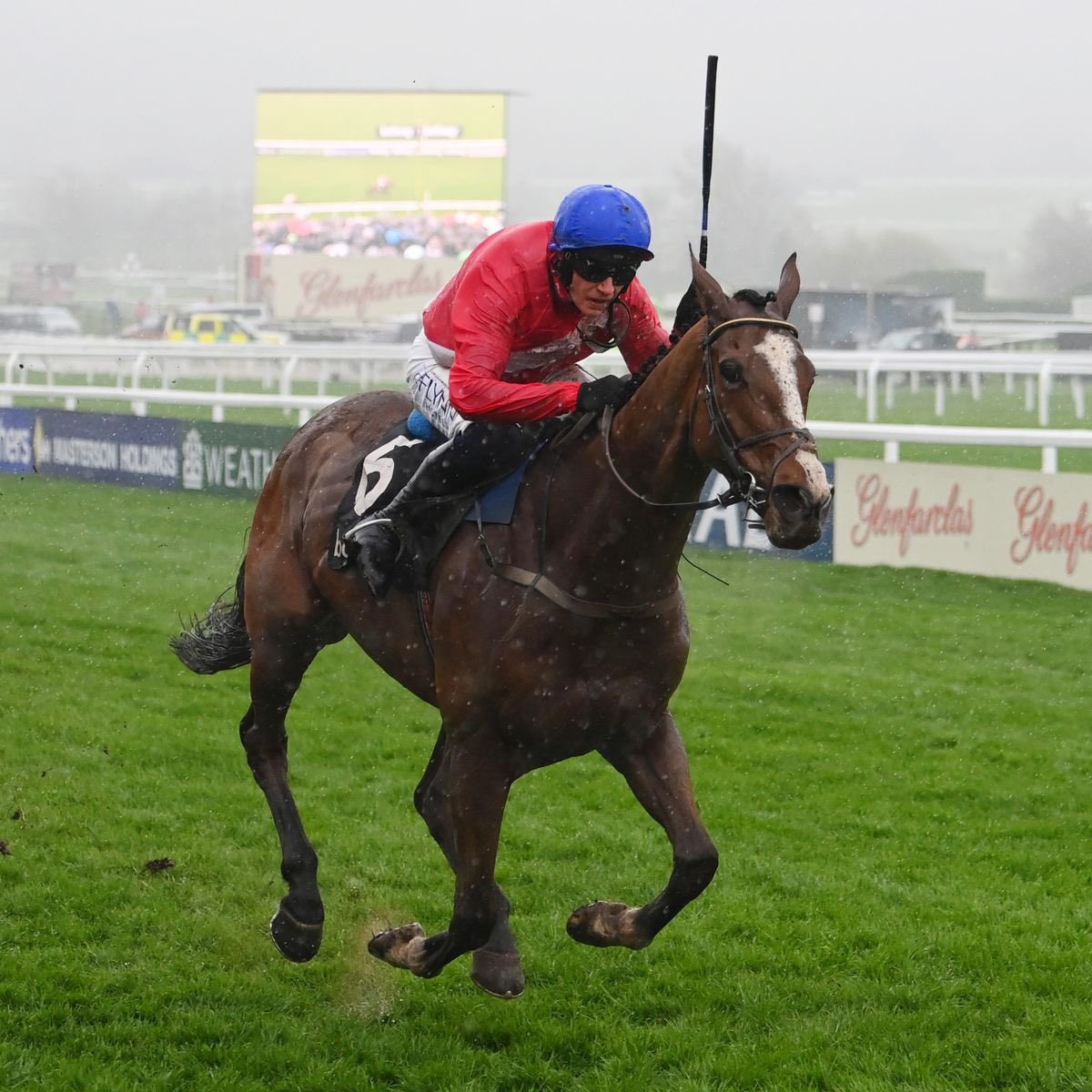 RacingGav's tweet photo. 🚨 £50 Giveaway 🚨

If Sir Gerhard wins the Champion Novice Hurdle at Punchestown tomorrow (4:15), I’ll give both you and your friend £25 each! 💷

To enter:

▫️Like &amp; Retweet this tweet 👍🏻🔁

▫️Follow @RacingGav

▫️Tag the friend who you’d share the money with on this tweet 🤝 https://t.co/ojoKoCaUZT