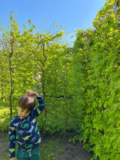 Elizabeth Humphries (@elizadayh) on Twitter photo Thoroughly enjoyed a stroll/run around Bishop’s House garden in Norwich for an open afternoon raising money for dioceseofnorwich.org/news/lent-appe…. My little boy loved the bamboo trail, “jungle bridge” (exotic garden) and maze. Looking splendid <a href="/bishopsgardens/">Head Gardener</a> <a href="/DioceseNorwich/">Diocese of Norwich</a> Thoroughly enjoyed a stroll/run around Bishop’s House garden in Norwich for an open afternoon raising money for dioceseofnorwich.org/news/lent-appe…. My little boy loved the bamboo trail, “jungle bridge” (exotic garden) and maze. Looking splendid <a href="/bishopsgardens/">Head Gardener</a> <a href="/DioceseNorwich/">Diocese of Norwich</a>