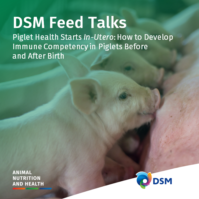 dsmfirmenichANH's tweet photo. Check out our latest Feed Talks article and learn how to support immune competency development in your piglets both before and after birth > https://t.co/tOaJpUEt5R 
#WeMakeItPossible https://t.co/EbCUNNG0dO