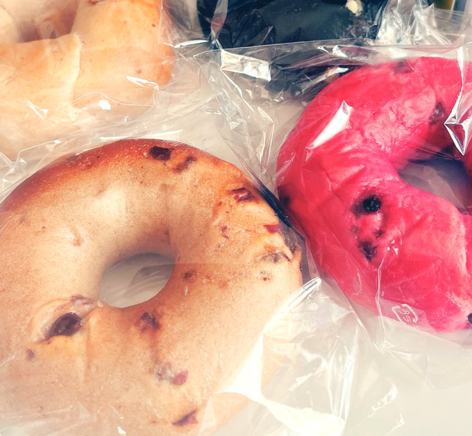 仕事多忙期で絵がかけないので前に買ってもらったカワイイベーグルの写真をあげて茶を濁す 