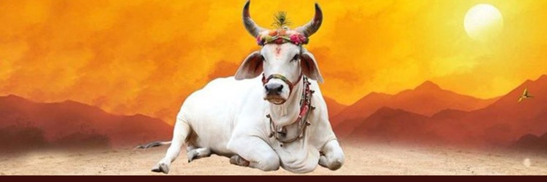 kavraj__'s tweet photo. https://t.co/OBW4ITr1YT
