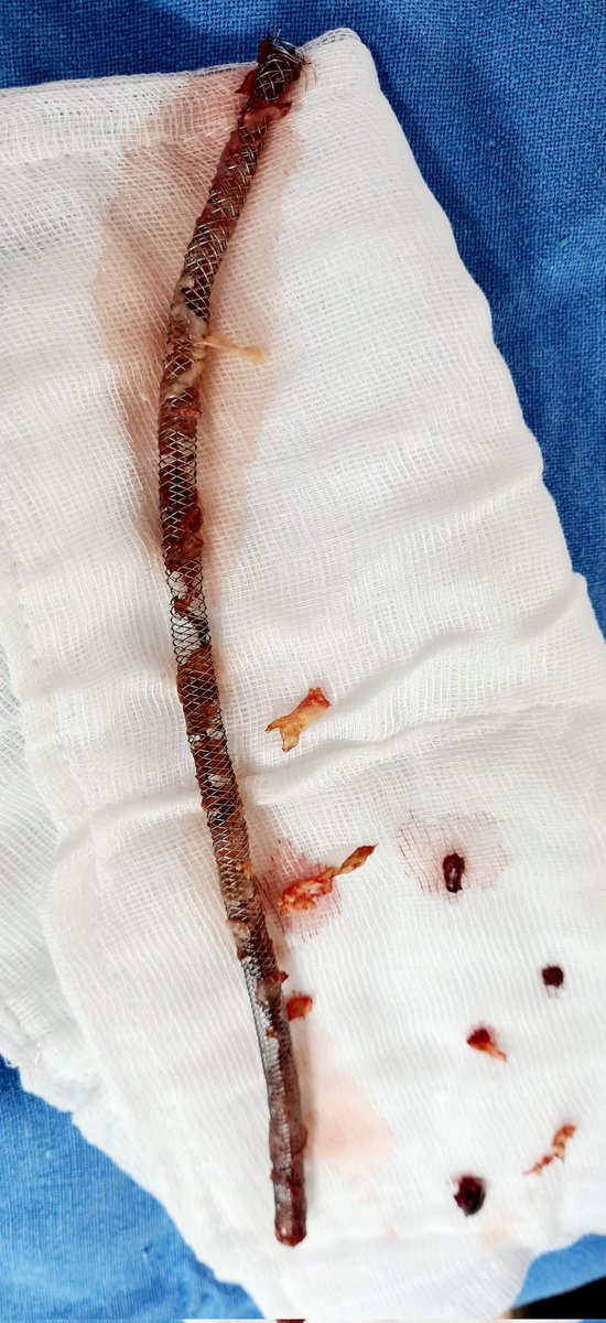 Dr Apurva Srivastava tweet media