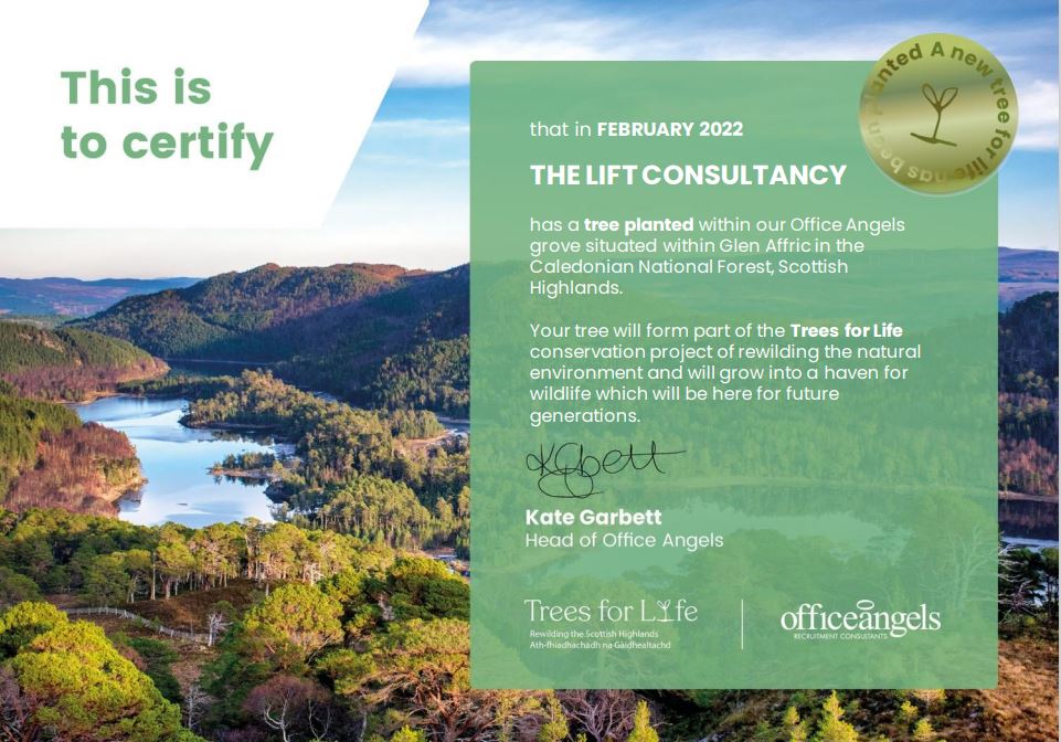 The Lift Consultancy tweet media