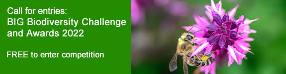 Ready to #DoOneThing for #biodiversity in #construction?Take action to protect and enhance our #ecosystems and enter the 2022 #BIGChallenge bigchallenge.info 
#BIGAwards <a href="/CIRIAupdates/">CIRIA</a> <a href="/Sudsulike/">susdrain @ CIRIA</a>