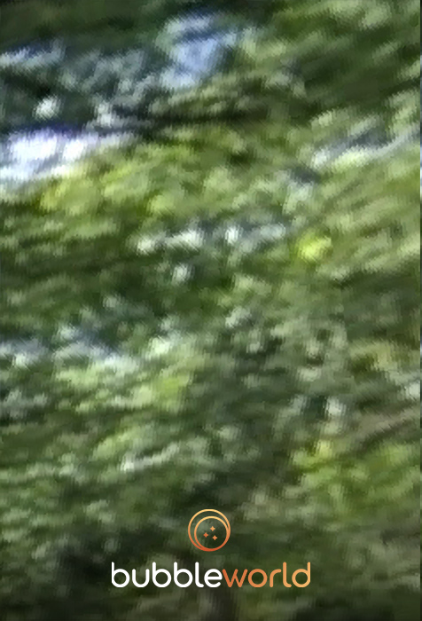 natalestee's tweet photo. Found these somewhere. Odd. I heard @philneeds found them too. #bubblehunt 🔔🔔🔔 

Watchers choose a number from 2-13 😉 https://t.co/UlO4QOAMQl
