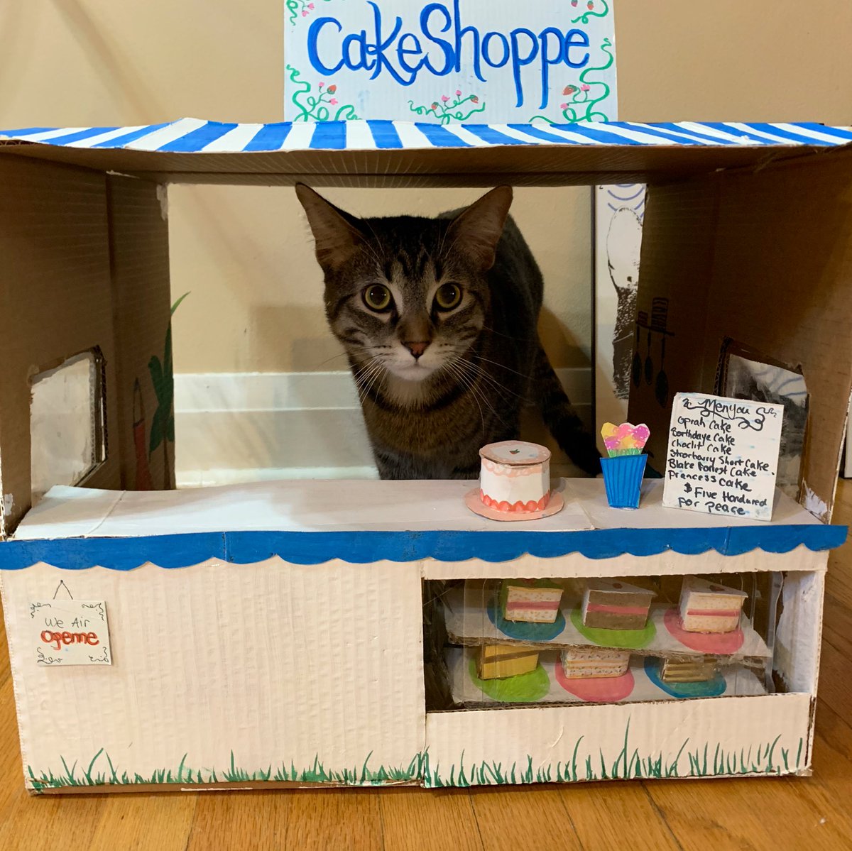 CatWorkers's tweet photo. (📸 @TakumiTheCat) https://t.co/yDhJF1qbz3