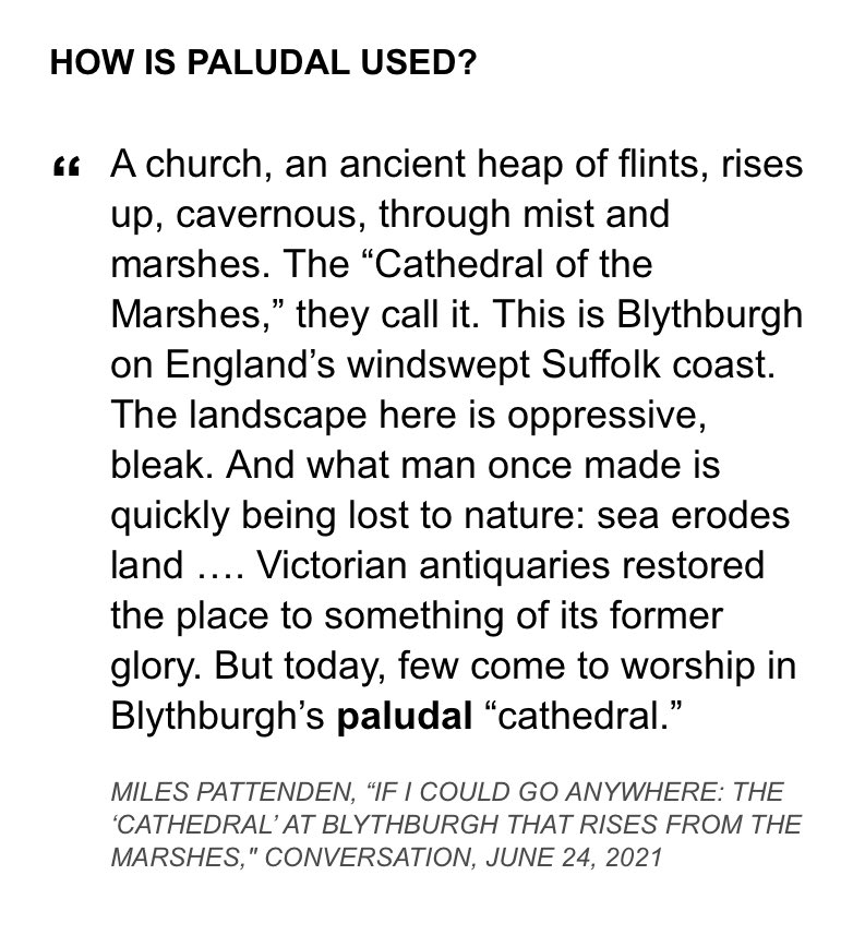 Dictionary Com Dictionarycom Twitter