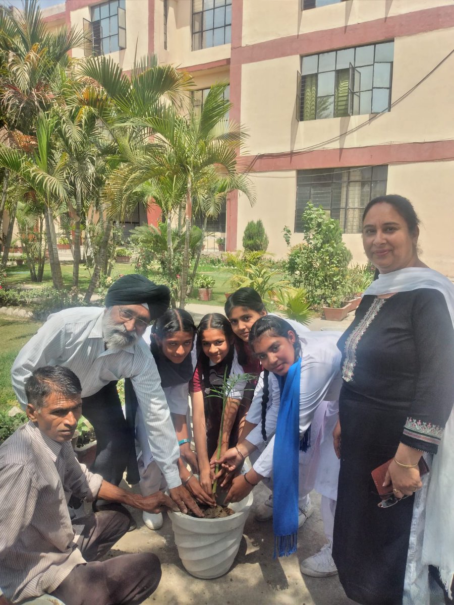 SPRINGDALESPUB2's tweet photo. "Earth has enough to satisfy our need ,not to satisfy our greed' 
Students  of Class IX Whole  heartedly contributed  in  conserving nature.
# Save Earth # Save Life https://t.co/gMtDjERZwr