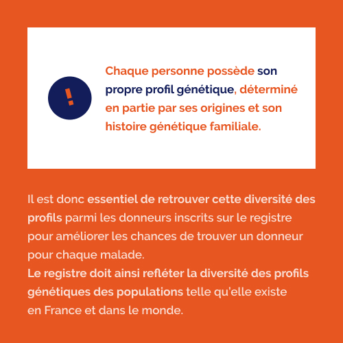 moelleosseuse's tweet photo. La diversité des profils de donneurs est primordiale pour aider un maximum les patients.
Mais pourquoi ?
Les explications dans la seconde partie de notre infographie !

Rendez-vous sur le site pour en savoir plus sur le don de moelle osseuse https://t.co/AMRFKyHWlh https://t.co/7U8tyiKrlq