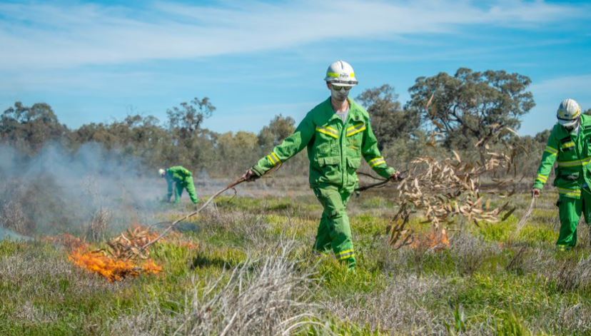 FFMVic's tweet photo. A 149ha Djaara Cultural burn will be conducted tomorrow at #Tandarra - #Thunderswamp, 7.5km SE of Dingee. People in #Dingee, #Serpentine, #Kamarooka & #Raywood may see smoke. For more info: https://t.co/f4StA1XRqX #Plannedburning #FFMVic https://t.co/USPKaOEqWA