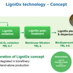 Photo by LigniOx Project (@ligniox_eu)