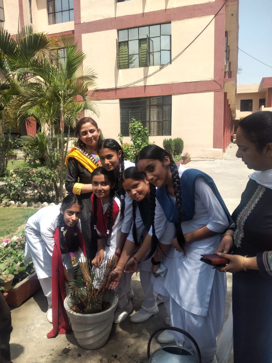 SPRINGDALESPUB2's tweet photo. "Earth has enough to satisfy our need ,not to satisfy our greed' 
Students  of Class IX Whole  heartedly contributed  in  conserving nature.
# Save Earth # Save Life https://t.co/gMtDjERZwr