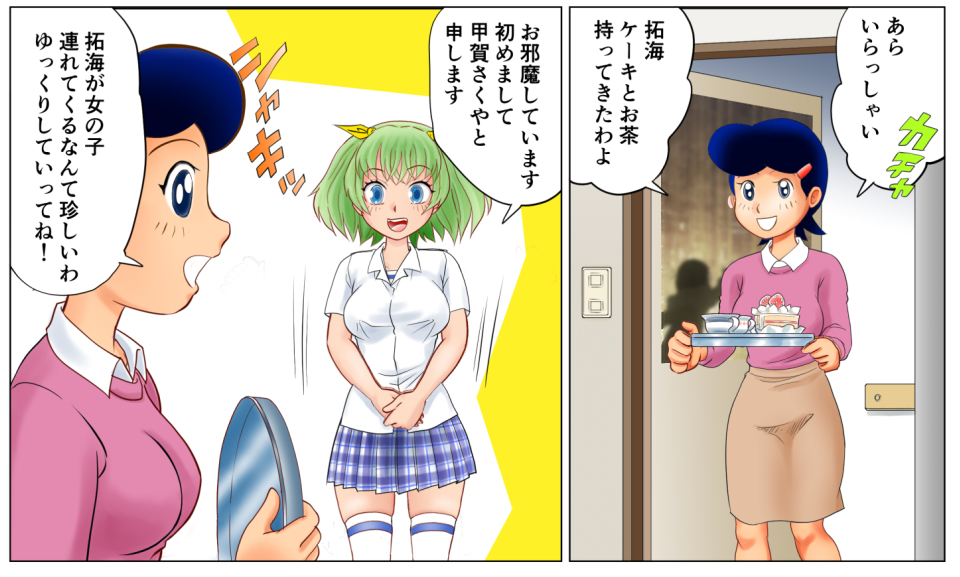 これは通りました(笑)なお全裸漫画も同梱です…。 