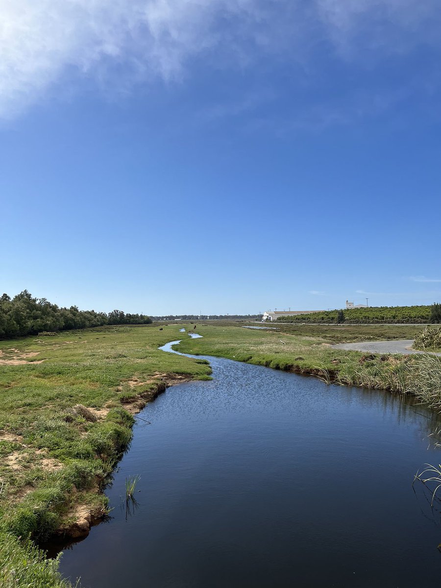 IslantillaDxts's tweet photo. 'Islantilla en Ruta', Palomar de la Huerta Noble.

Nos acercamos a conocer el columbario más grande de Europa, declarado Bien de Interés Cultural y Lugar de Interés Etnológico, desde 2004.

Sábado 30 Abril.

Más info e inscripciones:
https://t.co/bxRbSHd085 https://t.co/KifXMY2yUJ