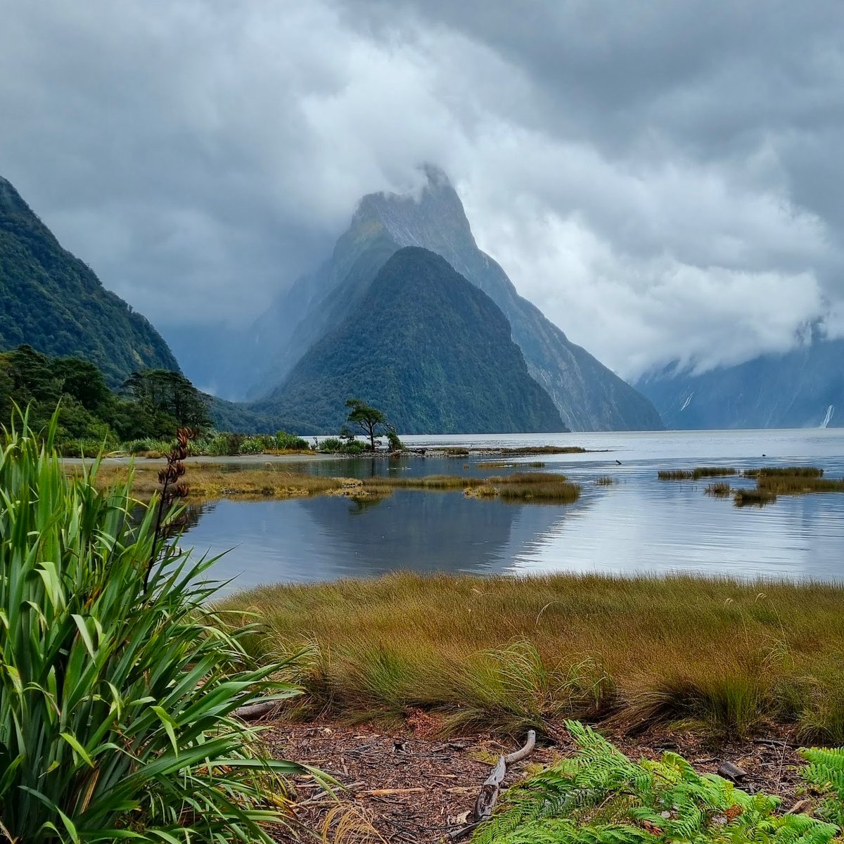 Just had a nice holiday with the family down south - didn't quite make it down to <a href="/46south1/">46 South Stake Pool (46S) #Atrium #DEXHunter</a>'s neck of the woods ... but got pretty close!