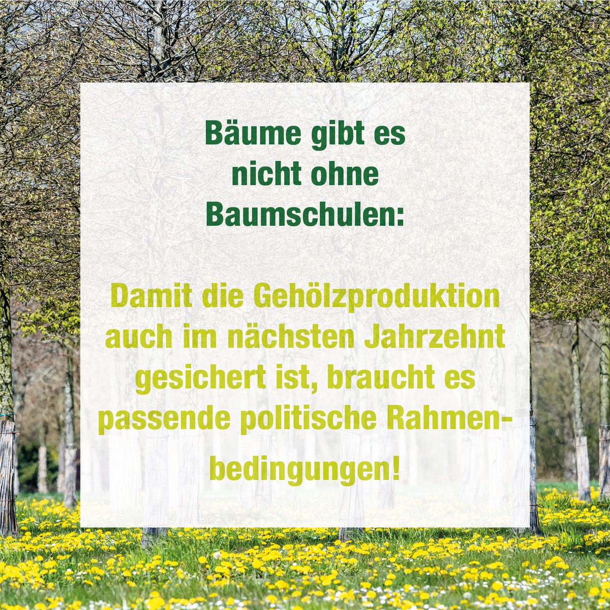 #tagdesbaumes: Politische Forderungen der Baumschulbranche zur Sicherung der deutschen Gehölzproduktion im nächsten Jahrzehnt: bit.ly/3Li84I2

@bmel @BMUV <a href="/cem_oezdemir/">Cem Özdemir</a> <a href="/SteffiLemke/">SteffiLemke</a> #baumschulenschaffenleben #grünistleben <a href="/TASPONews/">TASPO</a> <a href="/GabotDE/">Redaktion Gabot.de</a>