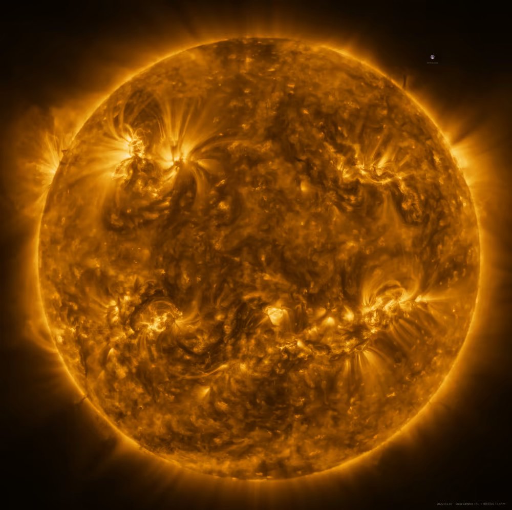 CryptoSoltan's tweet photo. New image of the full Sun by @Anastasia_Lvk
Thank you for this amazing scientific giftโฅ๏ธ๐ฅ๐
Link๐
https://t.co/m7bv1XvkDy
#NFTCommunity #nftphotography #NFTastro
#ScienceNFT https://t.co/E0OHwEURcg