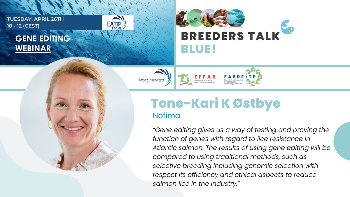 📢Last call❗️

🤩We hope to see you tomorrow in our new #BreedersTalkGreen session in collaboration with @EATIP_eu and @FABRETP.

🧬The Potential and Opportunities of Gene Editing in #Aquaculture💧

🗓️26 Apr
🕑10h (CEST)

✏️Register here: bit.ly/3itZedo