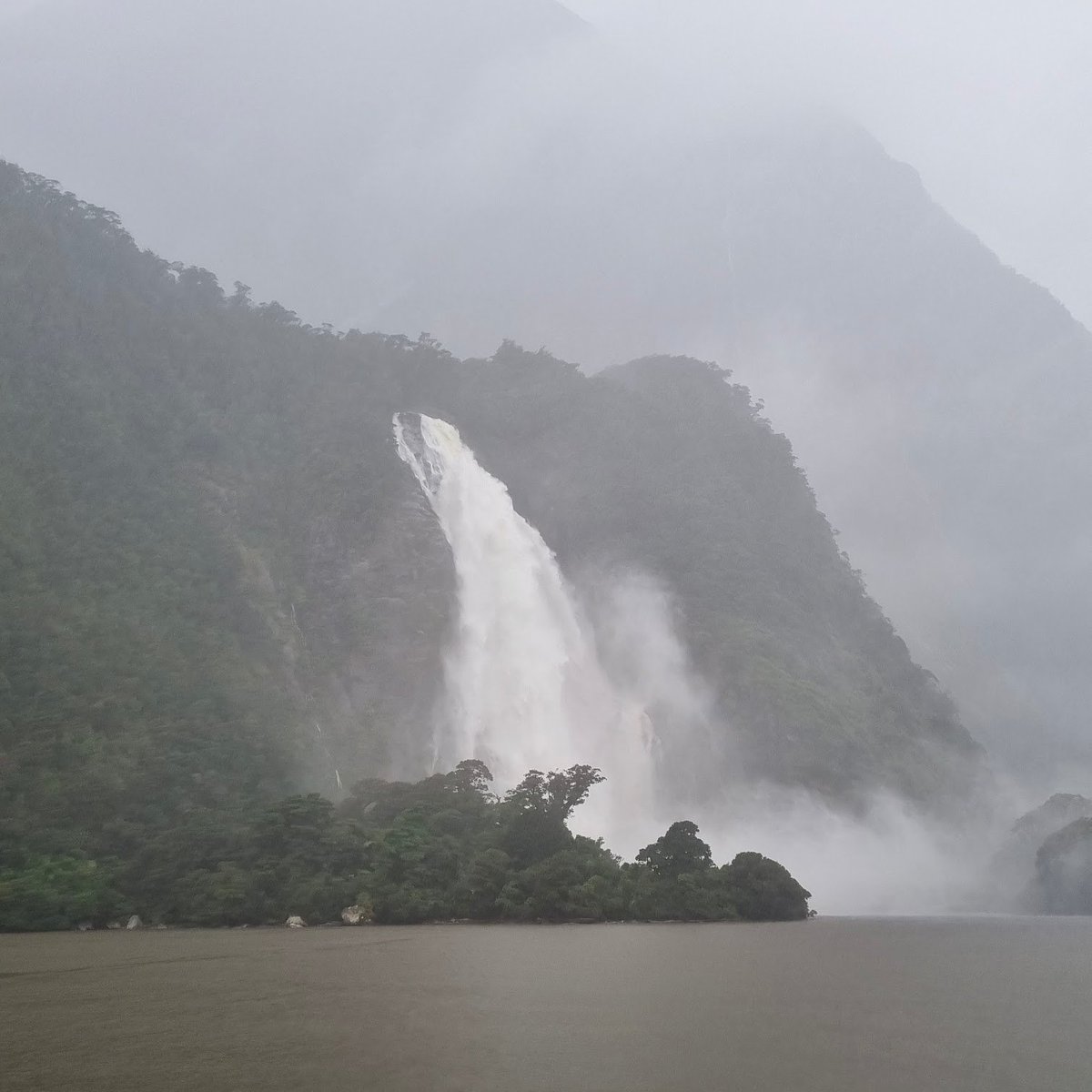 Moa Stake Pool tweet media