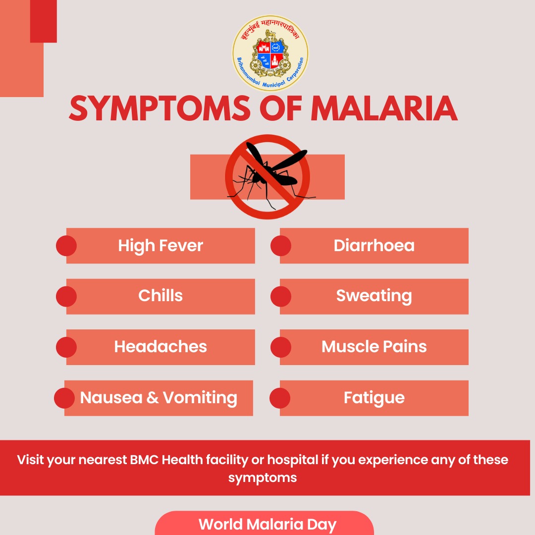 Learn the symptoms and seek the aid of your nearest doctor or from BMC Health facilities if you experience any symptoms.

Do not self-medicate.

#MalariaFreeMumbai #WorldMalariaDay