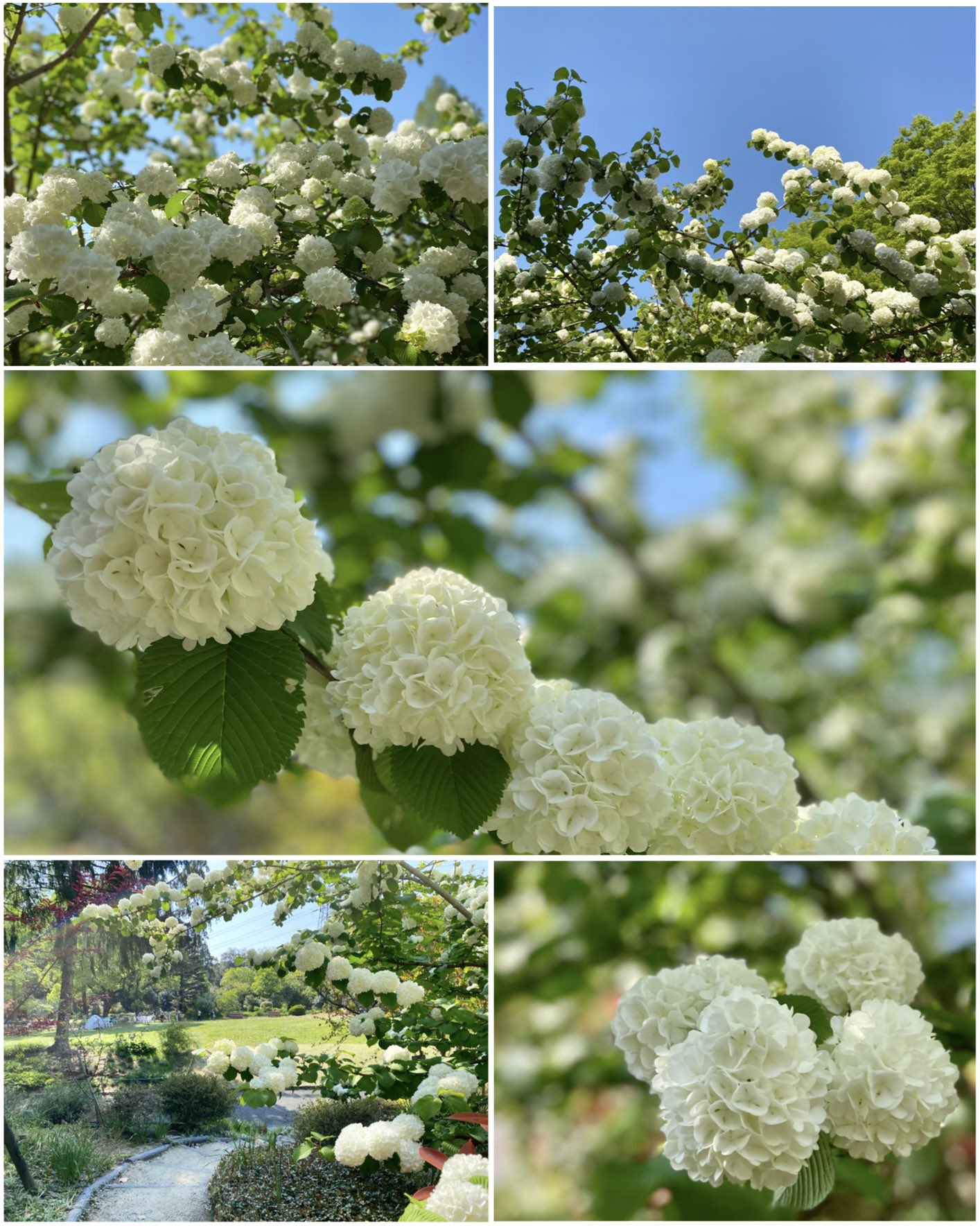 Fatturkey Fatturkey1 Twitter