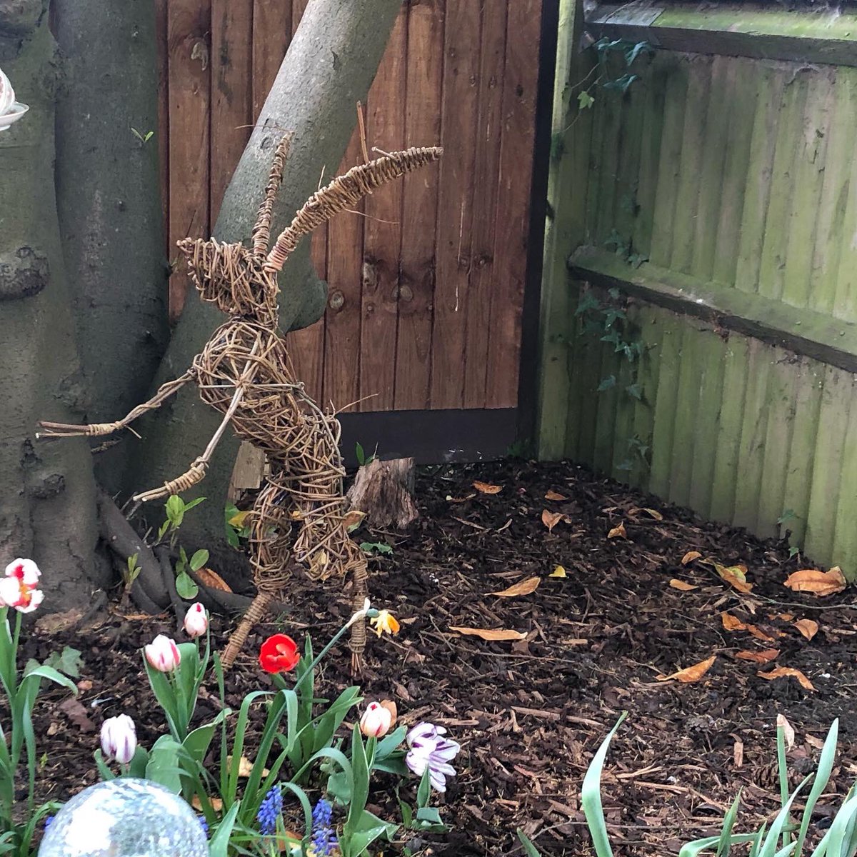 ElaineBridge500's tweet photo. #elainesadventures - great boxing hare weaving course on Saturday with @judithneedham well worth it, so pleased with the final result even if my hands are sore 😏 https://t.co/mKV6WeD6oo