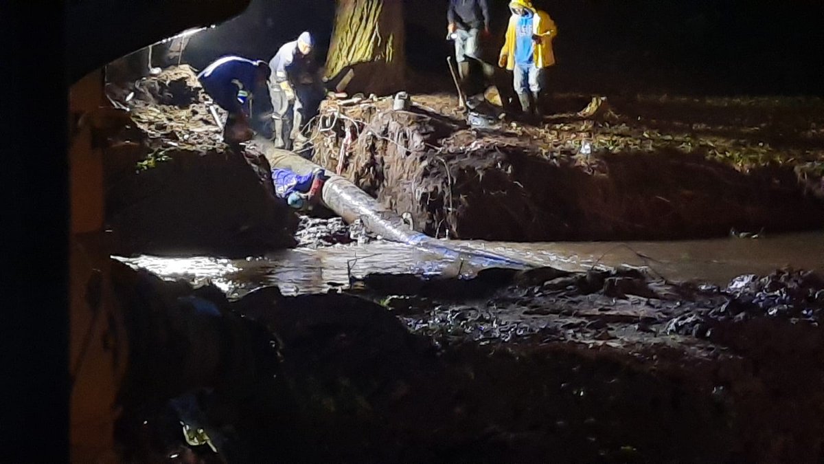 eThekwini Municipality tweet media