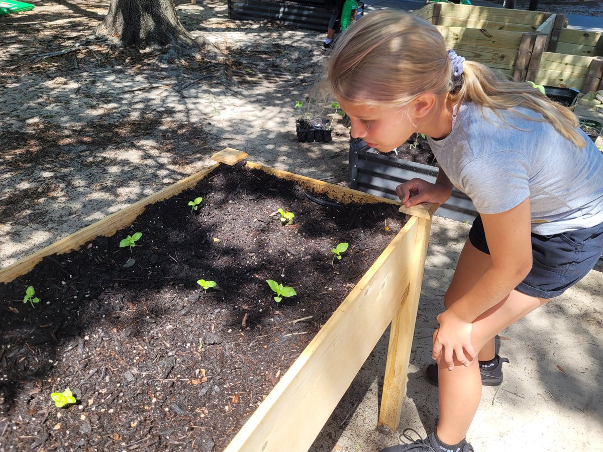 Samantha Glickstein tweet media