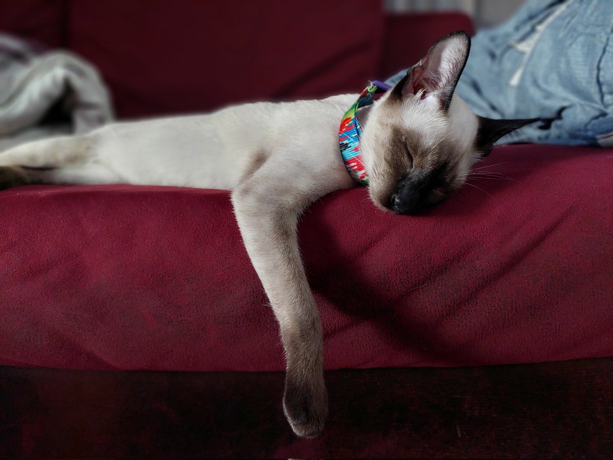 l2abbitJr's tweet image. สบายเค้าเลย