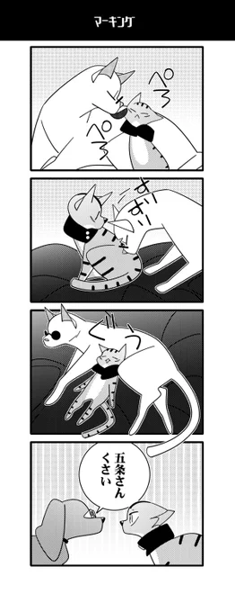 マーキング五悠の先輩編。 