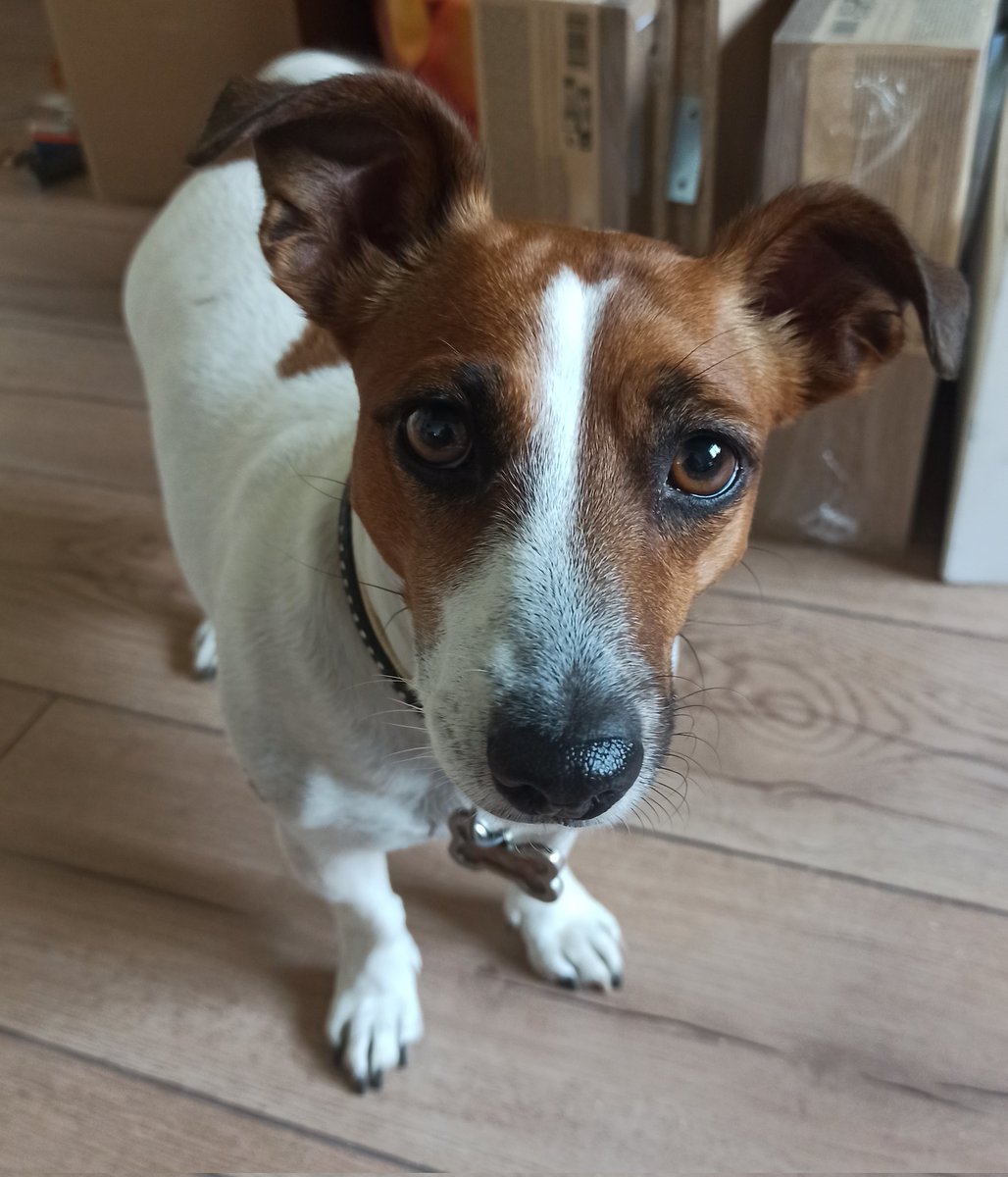 Самовлюбленный Алкоголик 🥃 tweet media