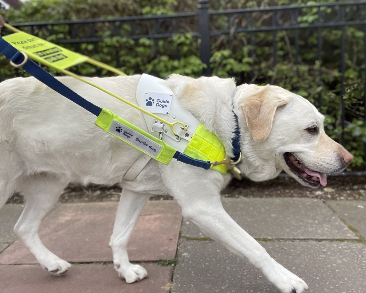 Kika & Quark tweet media