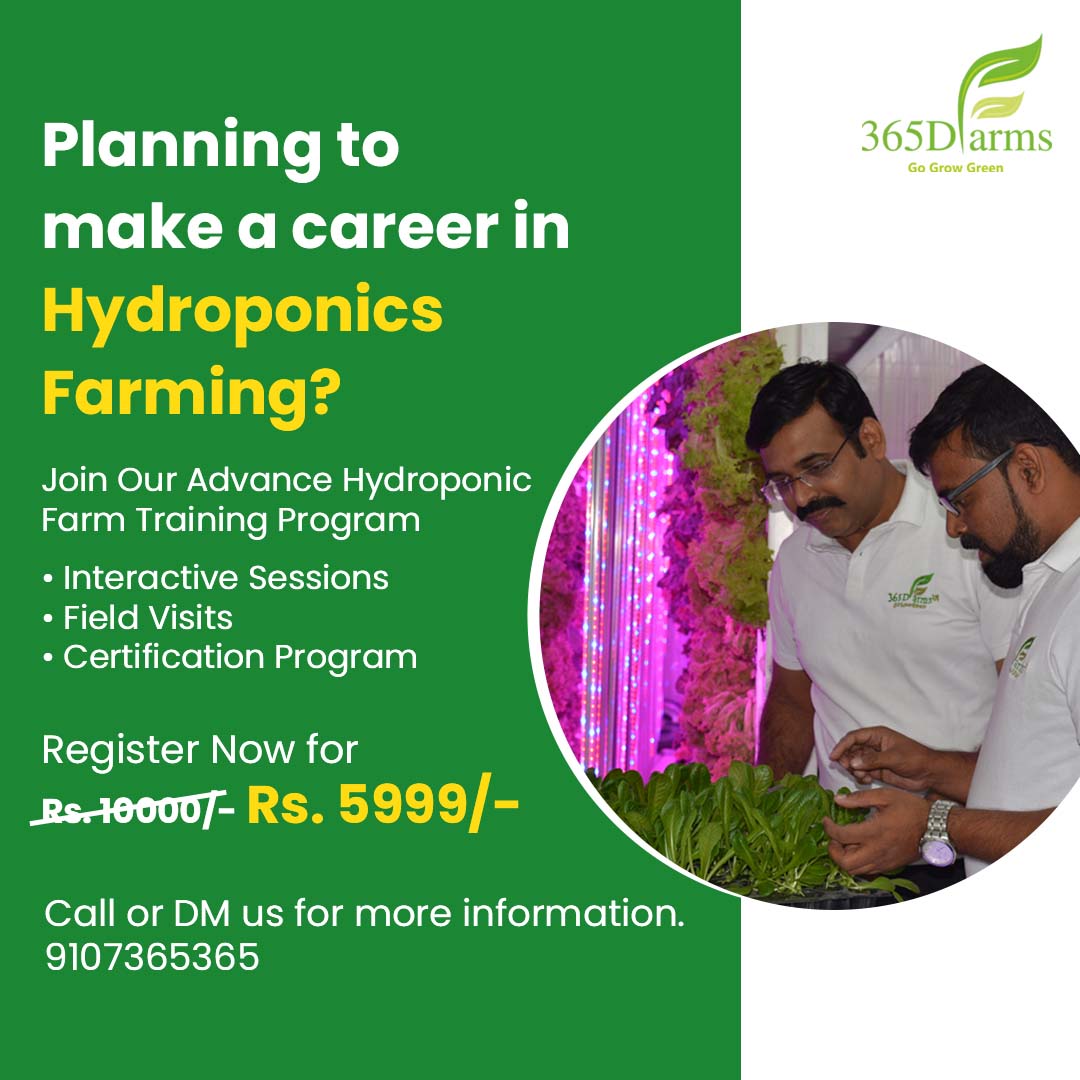 365Dfarms's tweet photo. Looking to make a career in #Hydroponics farming?
Get ready to become an expert and set up your own business? Get all the answers to your questions by registering for our Advanced Training Program to learn more about Hydroponics.
Click here to register - https://t.co/G2rATIwmAo https://t.co/pk2Xl4oxxw