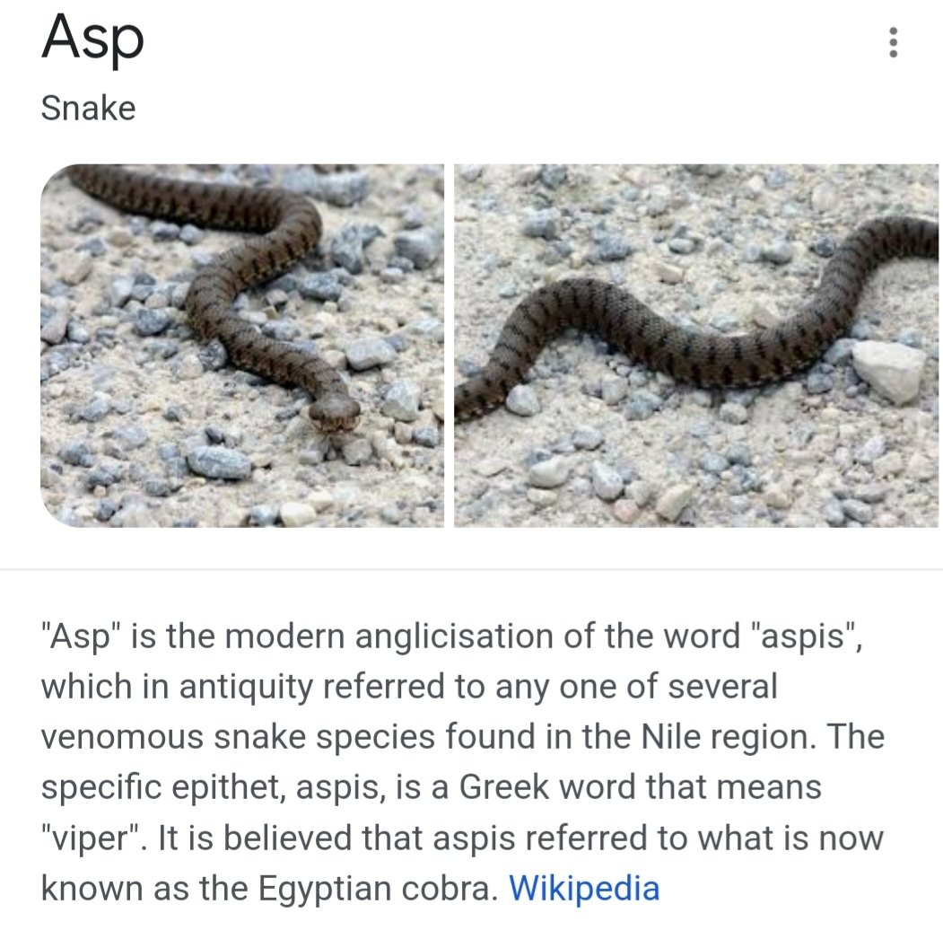 Poisonoussnakes - Twitter Search / Twitter