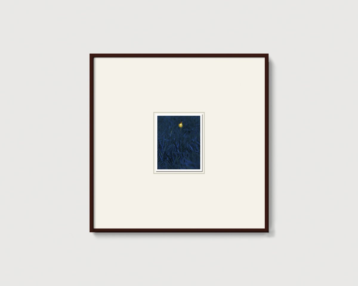 "Luciole", 2022

drawing size : 15 x 12 cm
paper size : 16 x 13 cm
50 x 50 cm framed

#contemporaryphotography #mixmedia #Firefly