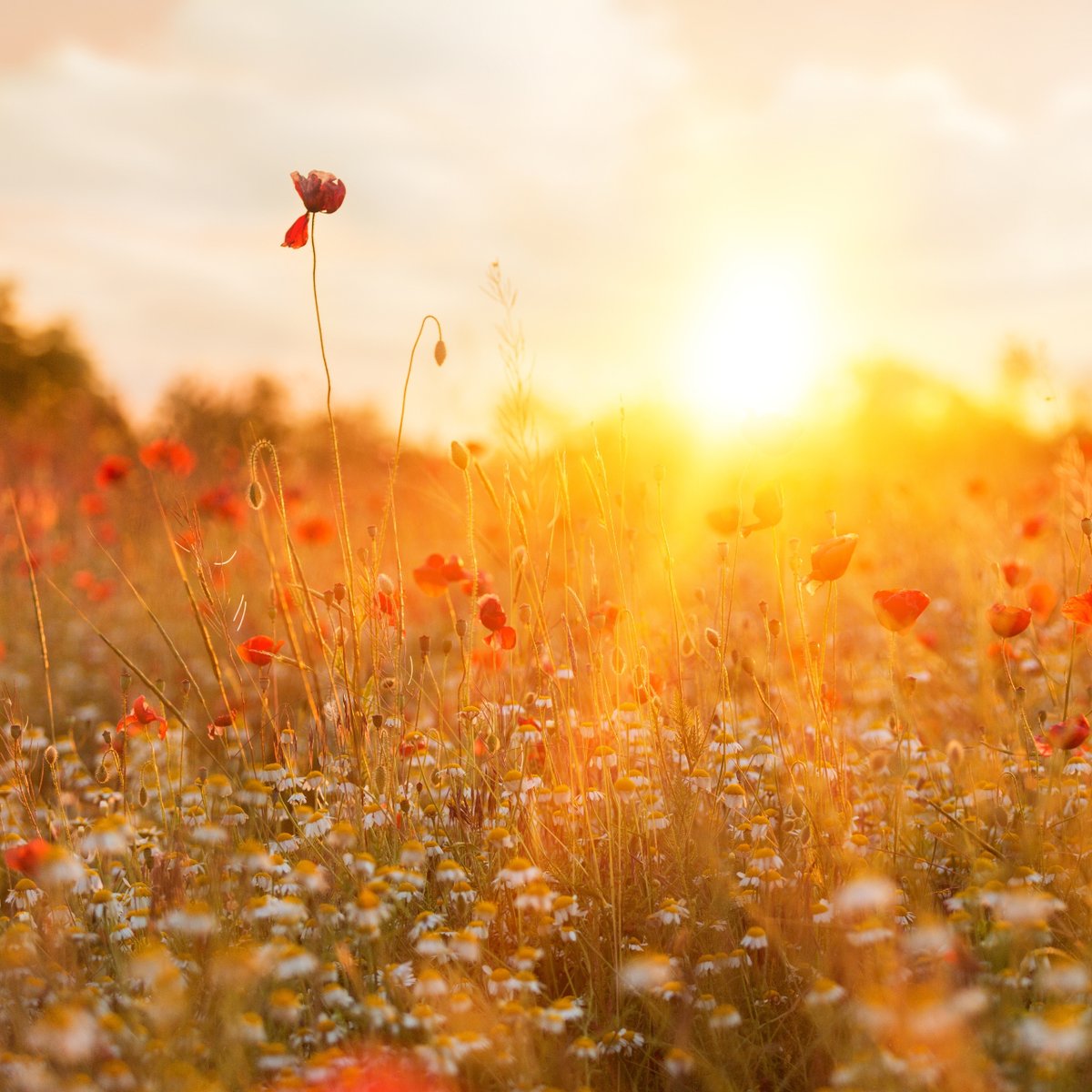 Specialist Cellars tweet media