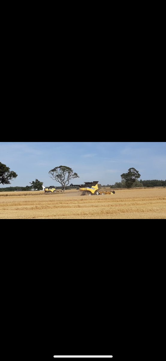 jsclark476's tweet photo. Harvest staff required for large arable unit in East Lothian. July-Oct good rates of pay and accommodation can be provided. Experience essential. https://t.co/cQkMlzbvyE