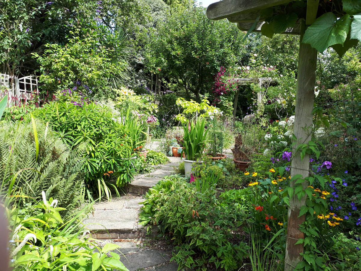 StChrisHospice's tweet photo. Come and explore a plant-filled oasis this year as part of Open Gardens 🌿

This award-winning garden is open from May until September and features a large variety of flowering and foliage plants 🏆

More info here ➡️ https://t.co/lAvcW4J1Os https://t.co/q8ylzcoSHi