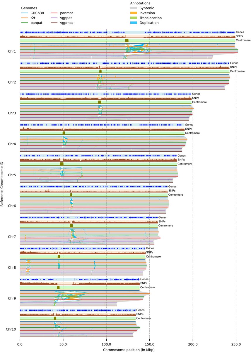 Schneeberger lab (@labschneeberger) on Twitter photo Our new method, plotsr, for visualising structural properties of multiple genomes is now published in <a href="/OUPAcademic/">Oxford Academic</a> Bioinformatics. Using plotsr we visualised genomic differences between six human, eight thaliana and four potato genomes. doi.org/10.1093/bioinf… Our new method, plotsr, for visualising structural properties of multiple genomes is now published in <a href="/OUPAcademic/">Oxford Academic</a> Bioinformatics. Using plotsr we visualised genomic differences between six human, eight thaliana and four potato genomes. doi.org/10.1093/bioinf…